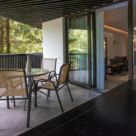 Poiana Brasov Alpin Executive Apartment Eksteriør billede
